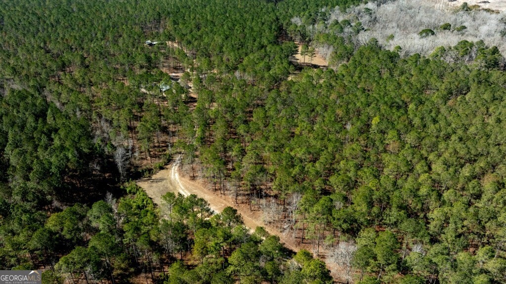 1401 Messex Road Millen, GA 30442 - Photo 17 of 51 a view of a lush green forest with lots of trees