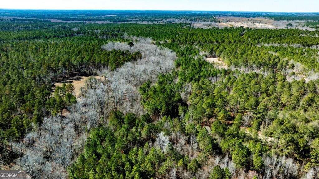 1401 Messex Road Millen, GA 30442 - Photo 2 of 51 a view of a lush green forest with lots of trees