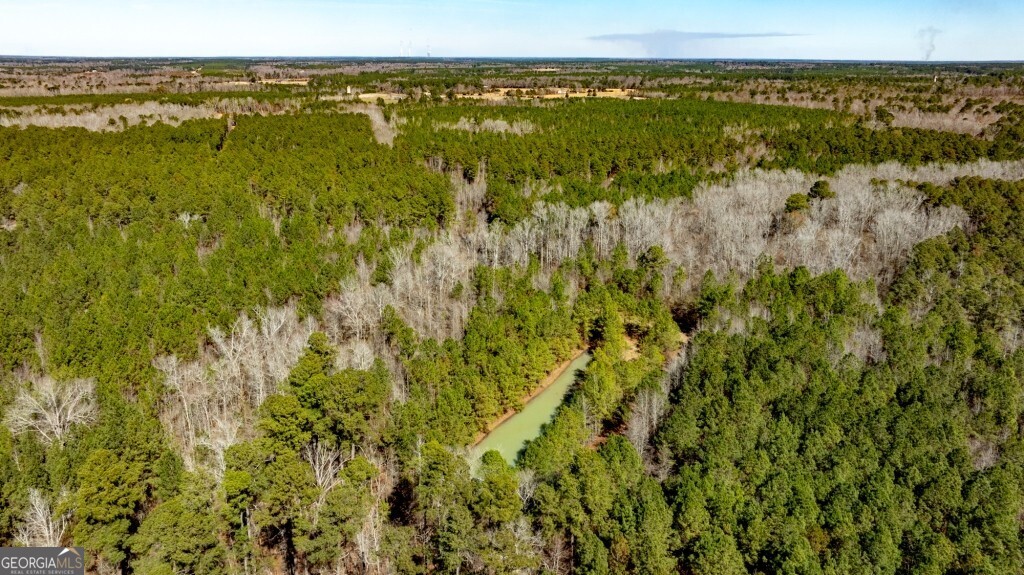 1401 Messex Road Millen, GA 30442 - Photo 24 of 51 a view of a field with an ocean view
