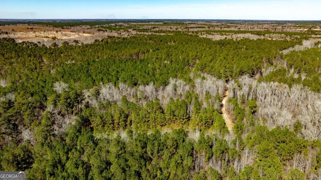 1401 Messex Road Millen, GA 30442 - Photo 25 of 51