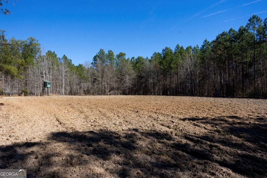 1401 Messex Road Millen, GA 30442 - Photo 30 of 51 a view of snow covered with snow