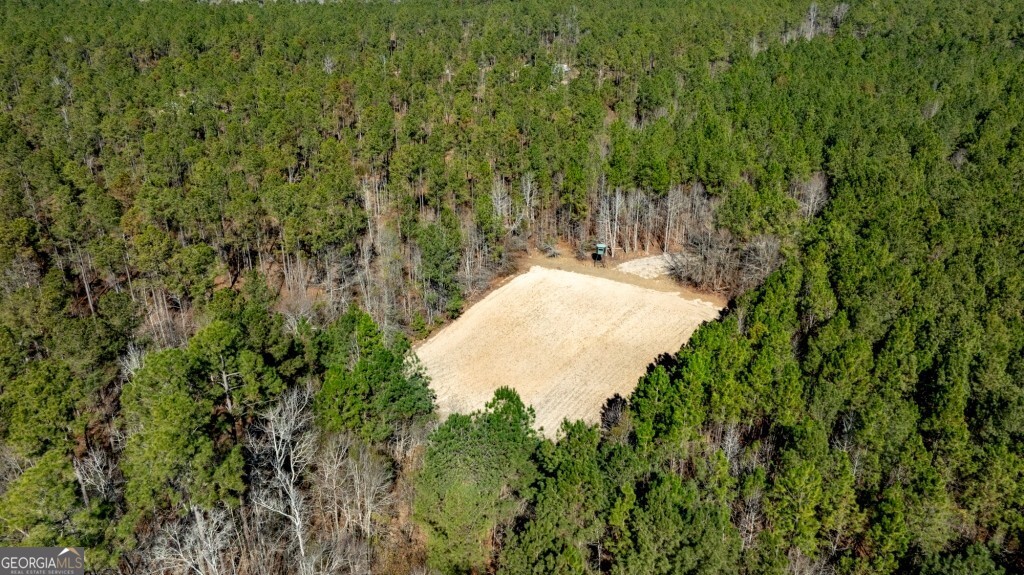 1401 Messex Road Millen, GA 30442 - Photo 3 of 51 a view of a yard with plants