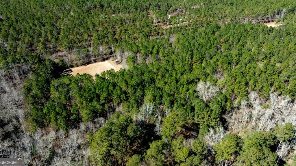 1401 Messex Road Millen, GA 30442 - Photo 33 of 51 a backyard of a house with lots of green space