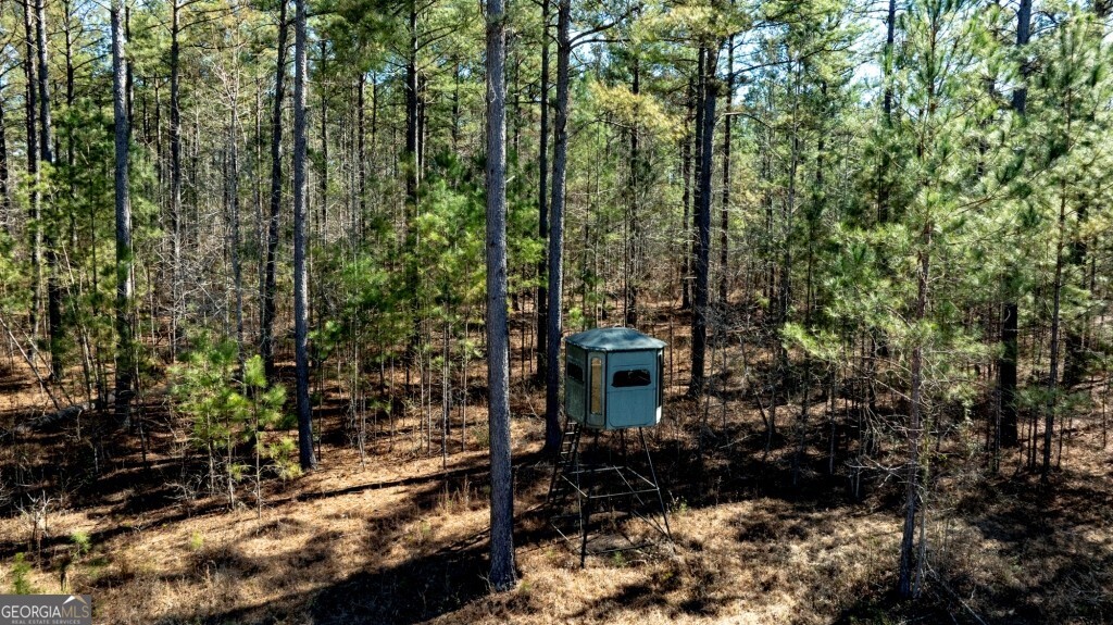 1401 Messex Road Millen, GA 30442 - Photo 36 of 51 a view of a garden with large trees