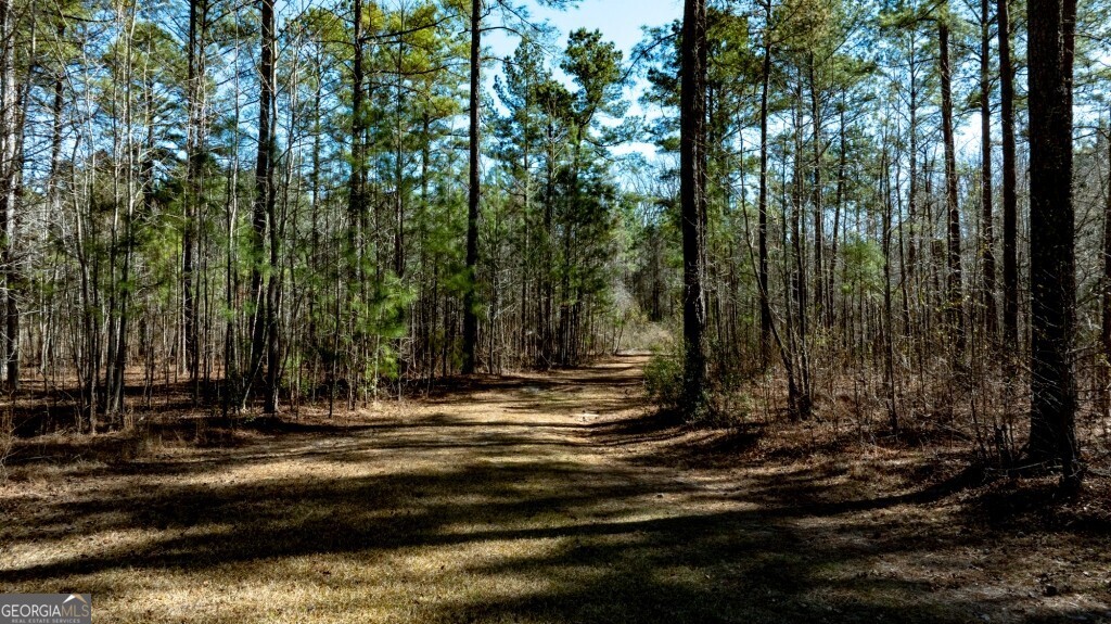 1401 Messex Road Millen, GA 30442 - Photo 37 of 51 a view of a backyard with large trees