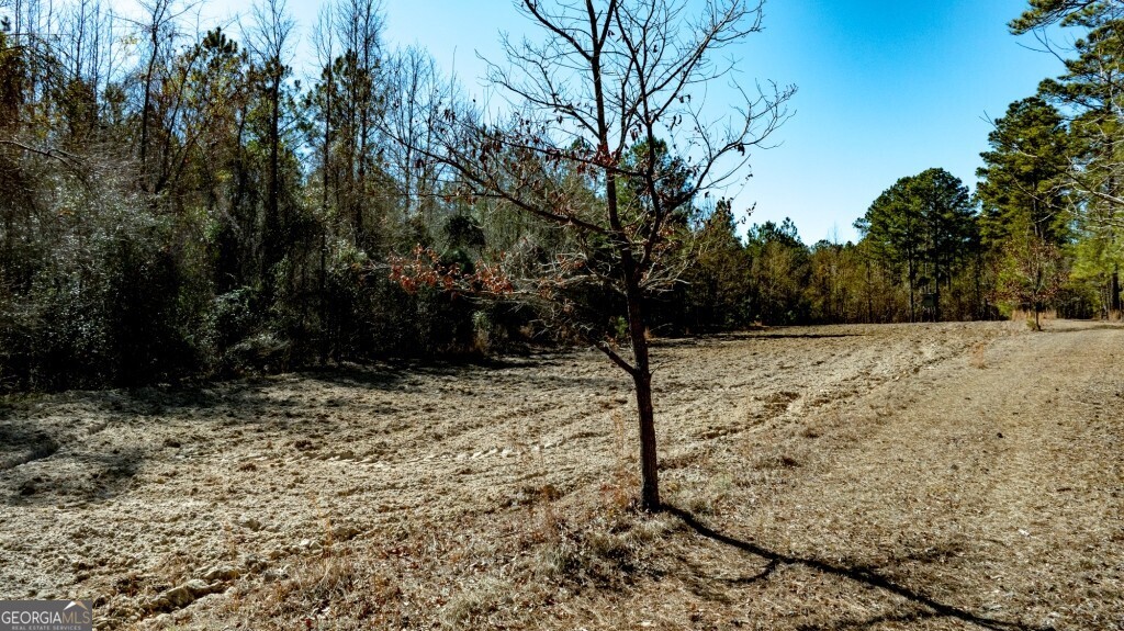 1401 Messex Road Millen, GA 30442 - Photo 38 of 51 a view of a yard covered with snow in outdoor space