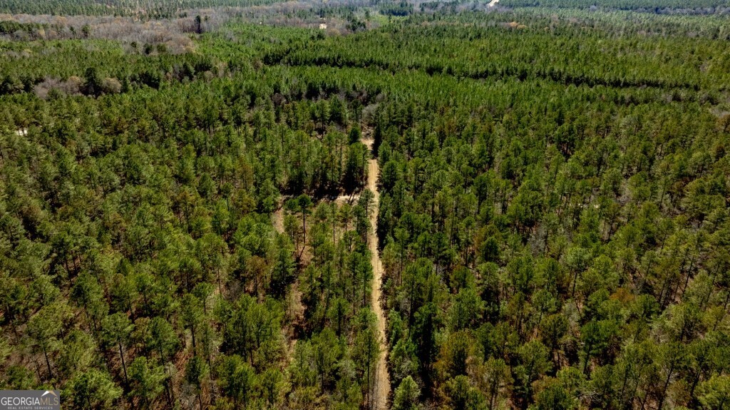 1401 Messex Road Millen, GA 30442 - Photo 40 of 51 a view of a lush green forest with lots of trees