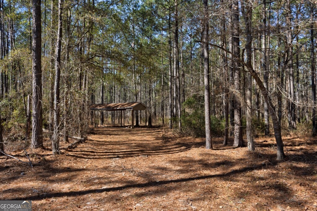 1401 Messex Road Millen, GA 30442 - Photo 42 of 51 a view of road with large trees