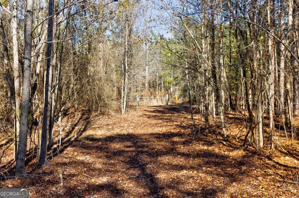 1401 Messex Road Millen, GA 30442 - Photo 44 of 51 a view of yard with trees