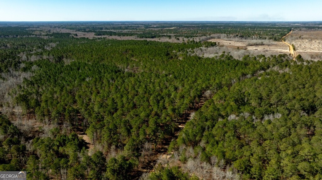 1401 Messex Road Millen, GA 30442 - Photo 46 of 51 a view of a city
