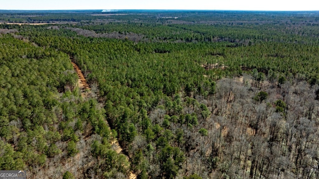 1401 Messex Road Millen, GA 30442 - Photo 48 of 51 a view of a lush green forest with trees and some houses
