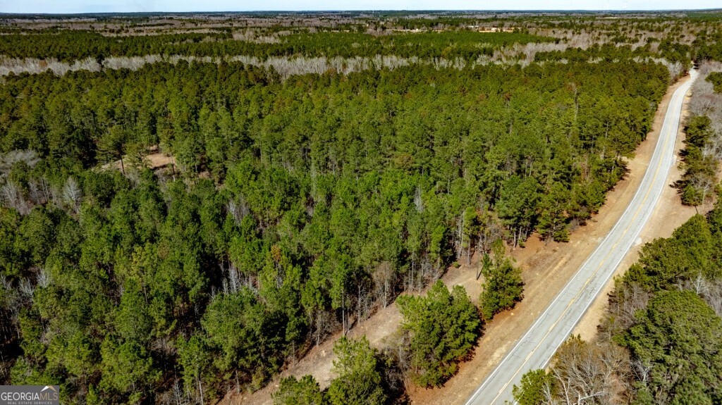 1401 Messex Road Millen, GA 30442 - Photo 51 of 51 a view of a lake with a city