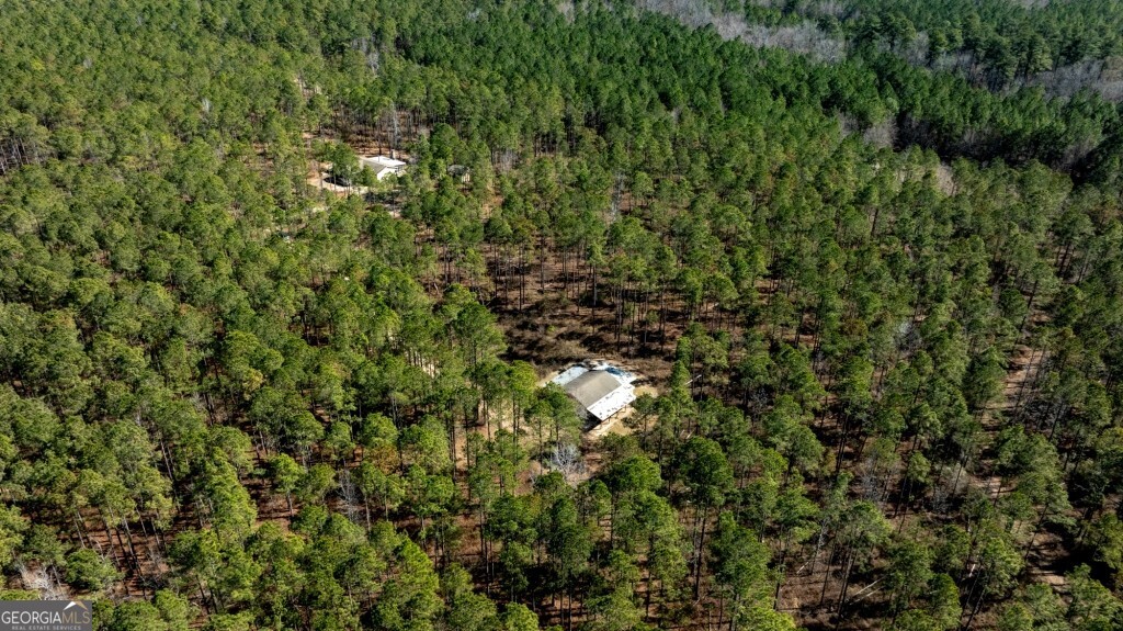 1401 Messex Road Millen, GA 30442 - Photo 7 of 51 a view of a lush green forest