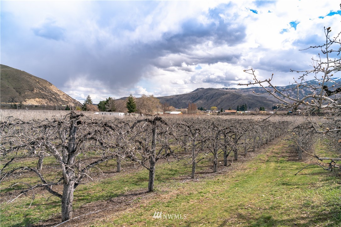 0 Old Monitor Road Cashmere, WA 98815 - Photo 1 of 1 Gallery Image 1