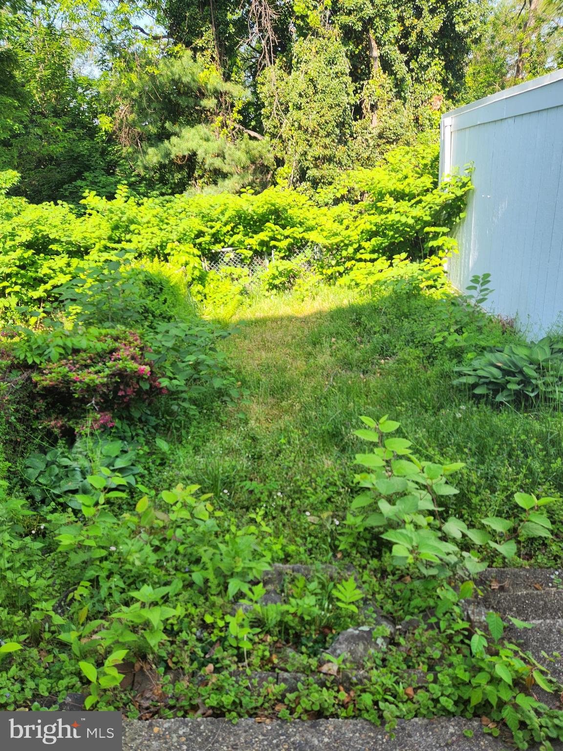 810 Rundale Avenue Lansdowne, PA 19050 - Photo 27 of 27