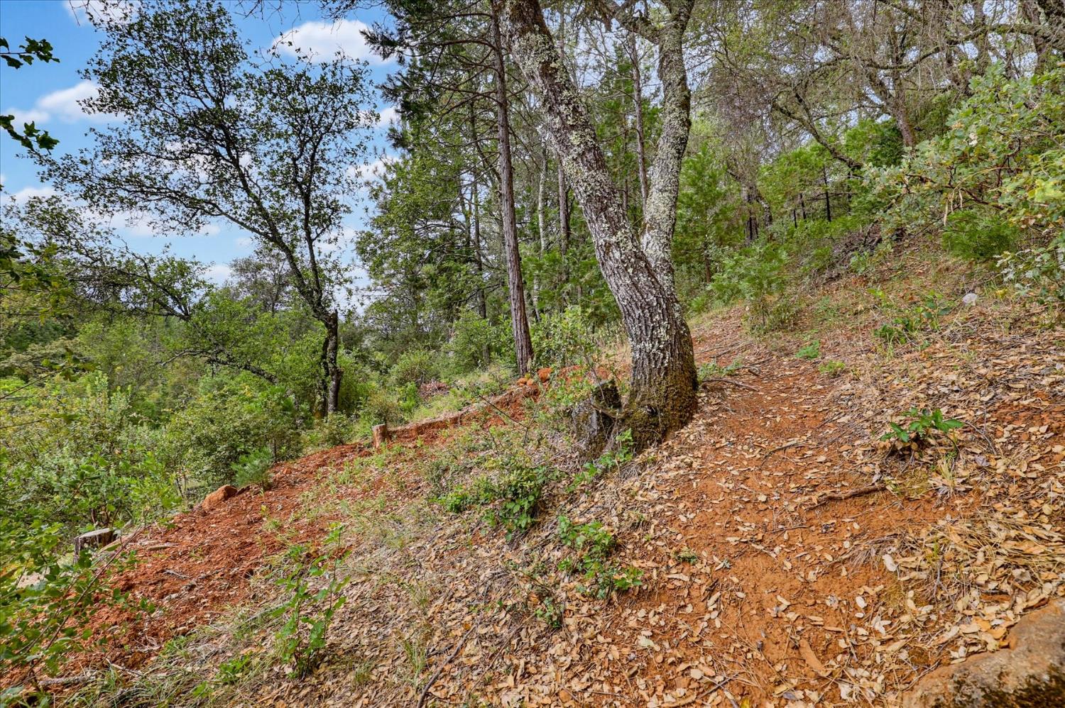 17422 Scopar Road Grass Valley, CA 95949 - Photo 43 of 63