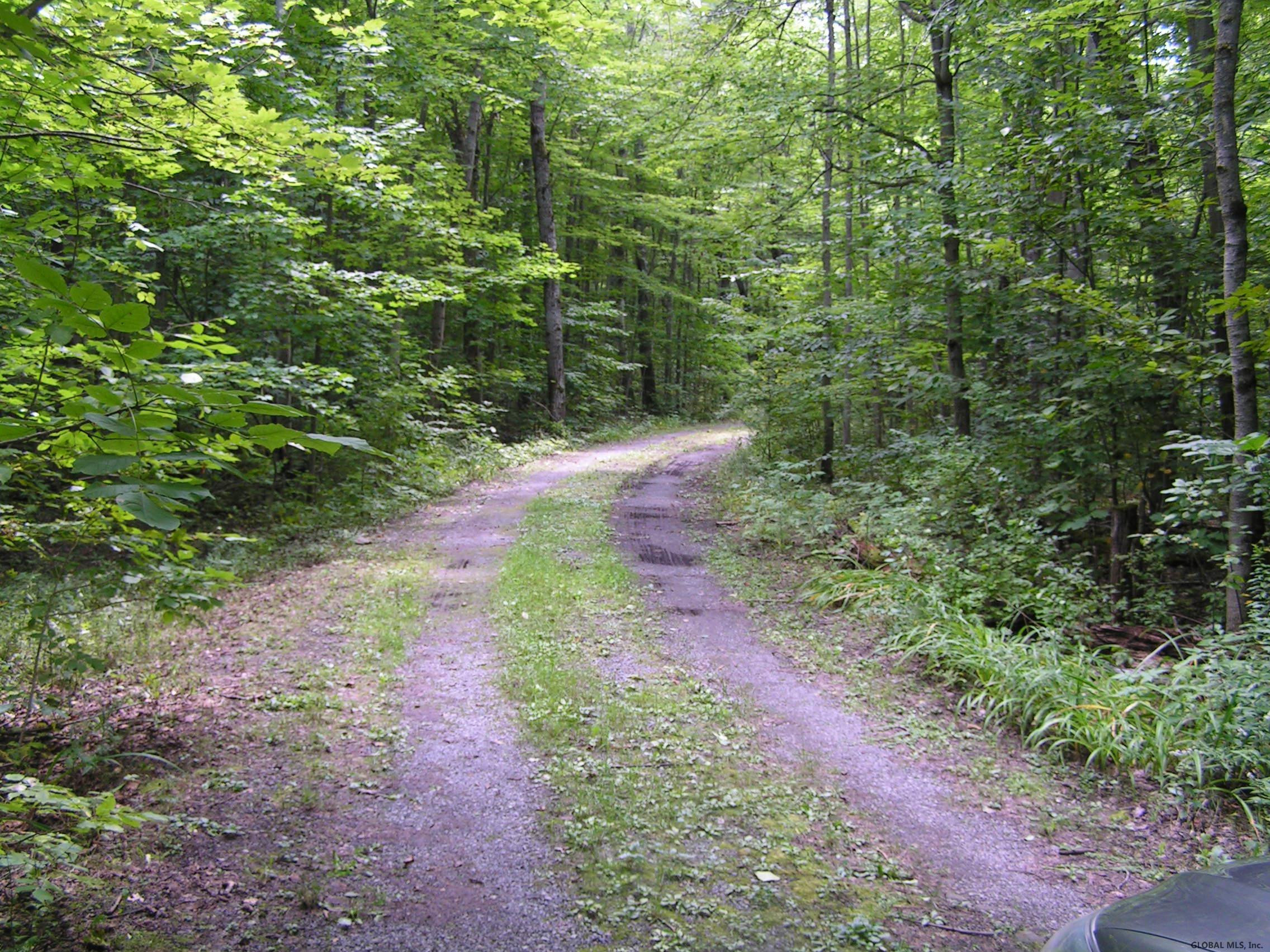 184 Mravlja Hill Road Decatur, NY 12197 - Photo 9 of 17 Photo 9