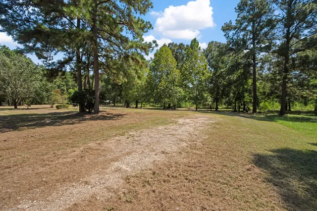 a view of outdoor space with trees