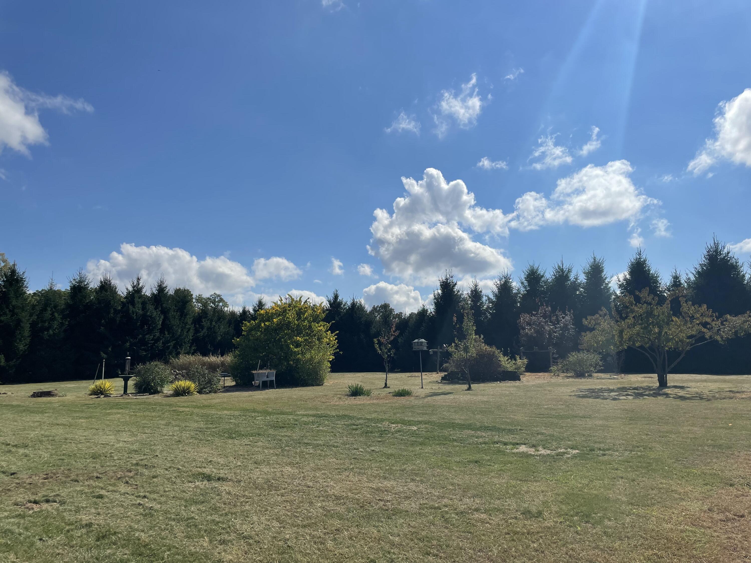 9850 Springport Road Parma, MI 49269 - Photo 20 of 27 IMG_2637