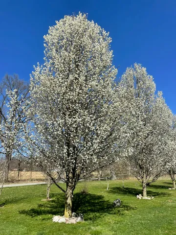 $229,000 | 9850 Springport Road, Parma, MI 49269