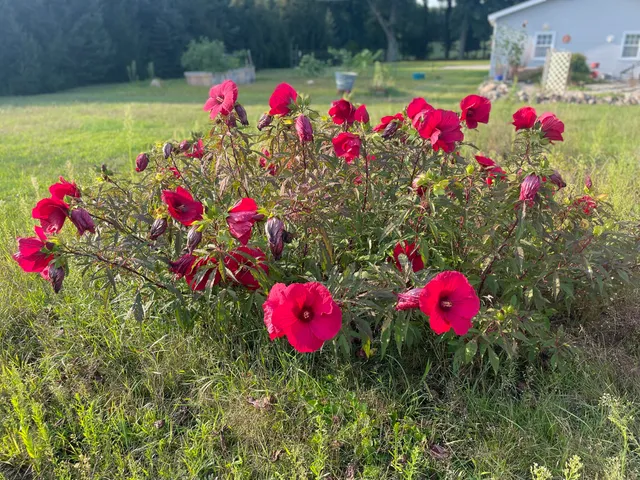 $229,000 | 9850 Springport Road, Parma, MI 49269