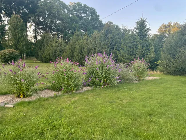 $229,000 | 9850 Springport Road, Parma, MI 49269