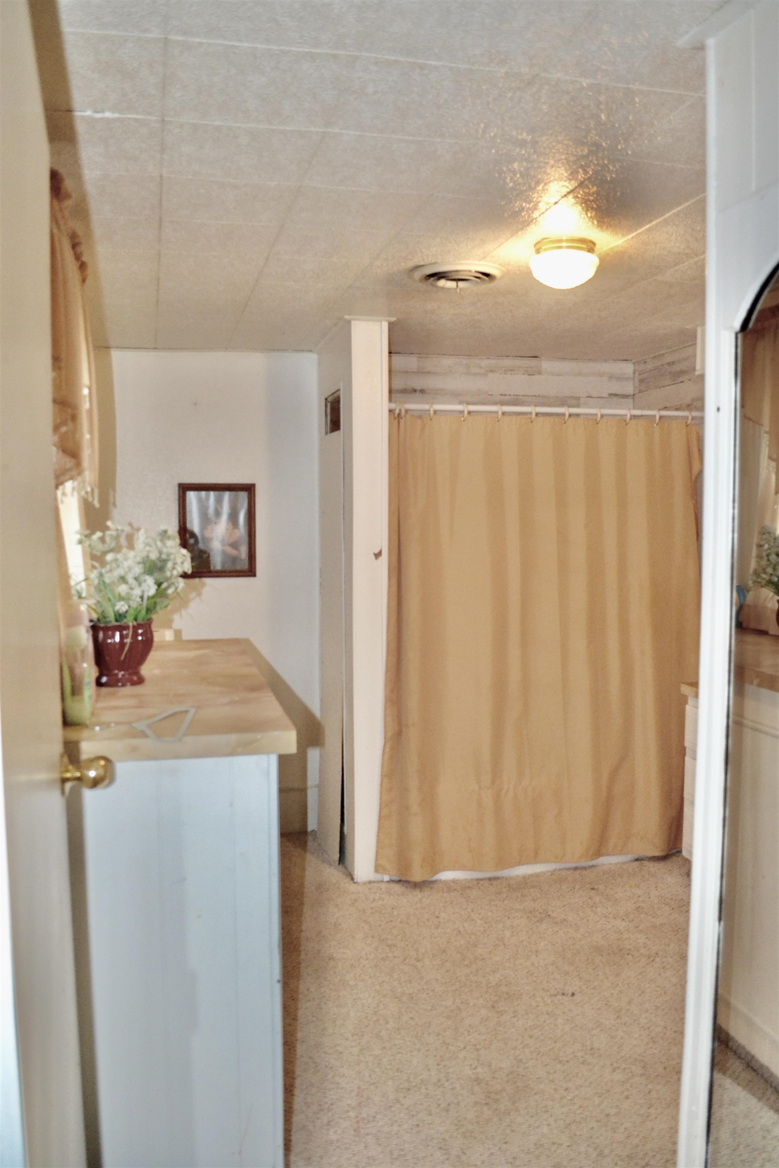 301 Arthur Street Flushing, MI 48433 - Photo 23 of 36 50084844-22.JPG