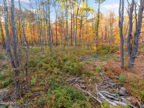 $125,000 | 138 Old Road, Grafton, NY 12052