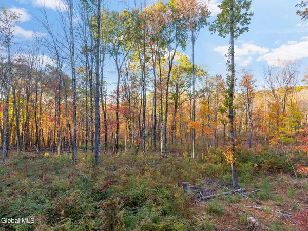 $125,000 | 138 Old Road, Grafton, NY 12052