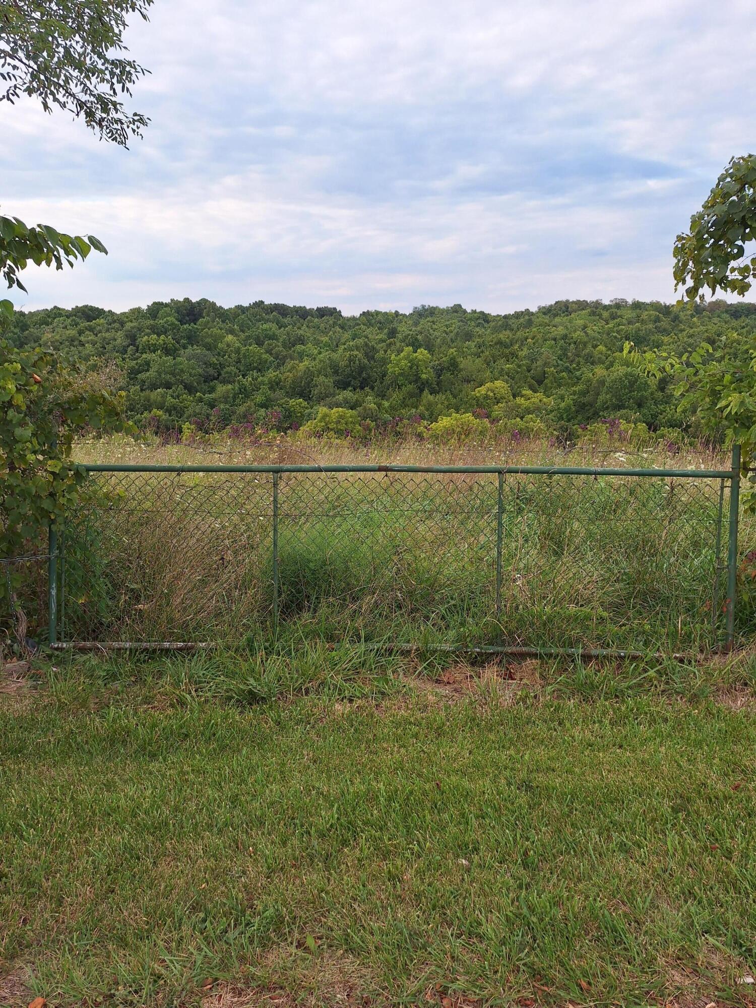 0 Keefer Road Corinth, KY 41010 - Photo 16 of 17 Gallery Image 16