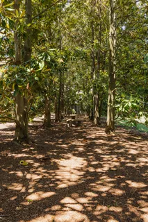 $5,800,000 | 6108 Robin Hill Road, Nashville, TN 37205