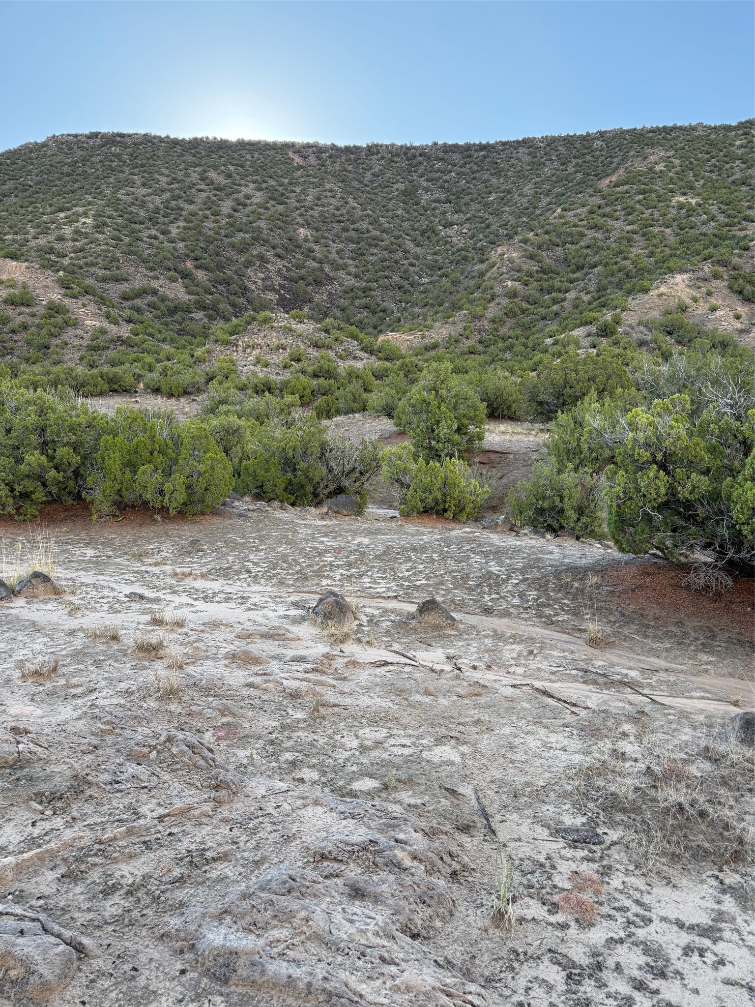 Tbd Lot 3 Tbd Road Ojo Caliente, NM 87549 - Photo 17 of 24