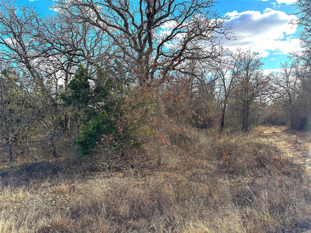 17101 Farm To Market 920 Poolville, TX 76487 - Photo 12 of 40 a view of a forest with trees in the background