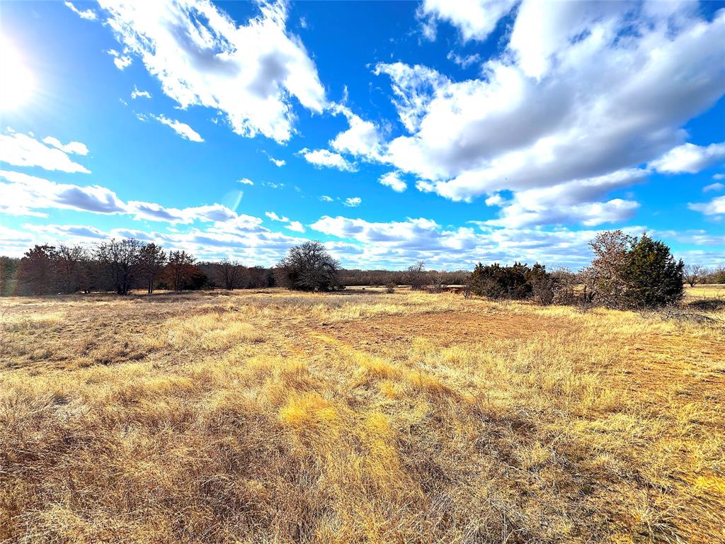 17101 Farm To Market 920 Poolville, TX 76487 - Photo 18 of 40 a view of ocean