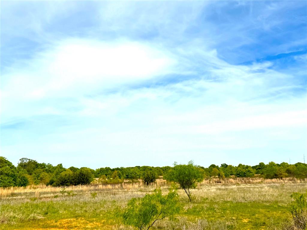 17101 Farm To Market 920 Poolville, TX 76487 - Photo 26 of 40 a view of lake