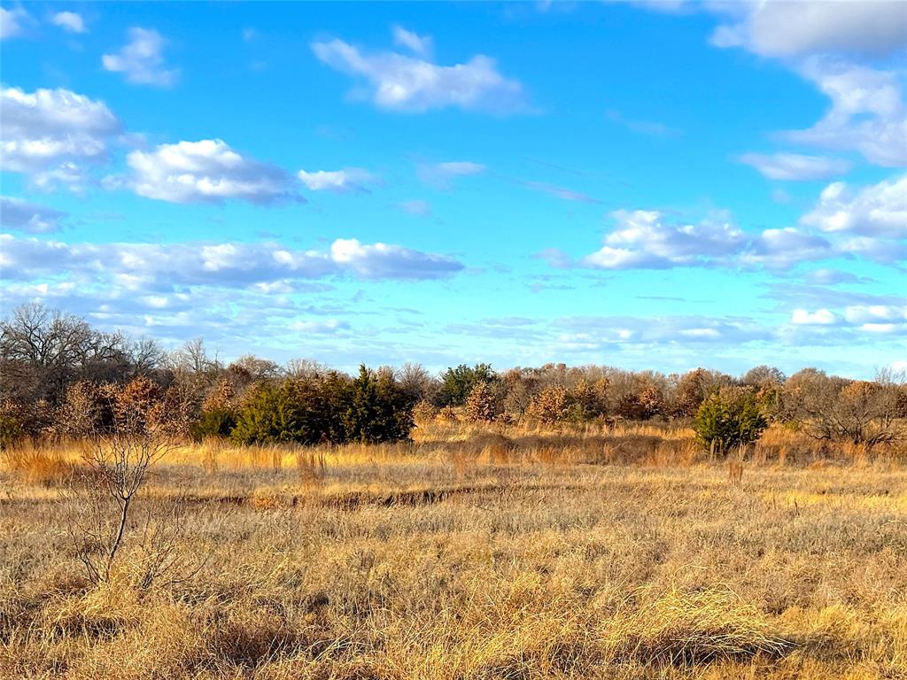 17101 Farm To Market 920 Poolville, TX 76487 - Photo 28 of 40 a view of lake view and mountain