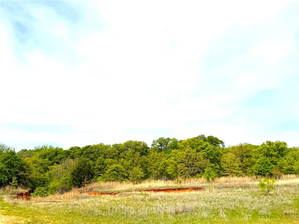17101 Farm To Market 920 Poolville, TX 76487 - Photo 29 of 40 a view of ocean view