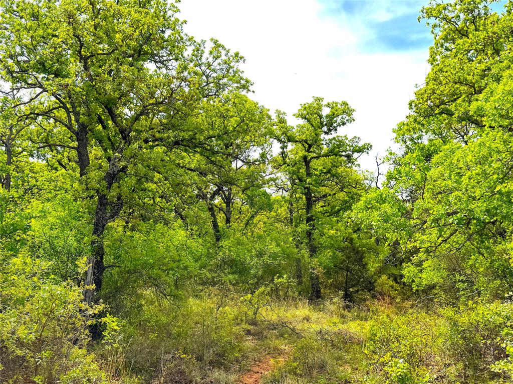 17101 Farm To Market 920 Poolville, TX 76487 - Photo 32 of 40 a view of a yard