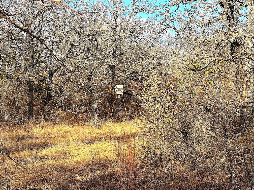 17101 Farm To Market 920 Poolville, TX 76487 - Photo 33 of 40 a view of yard covered with snow