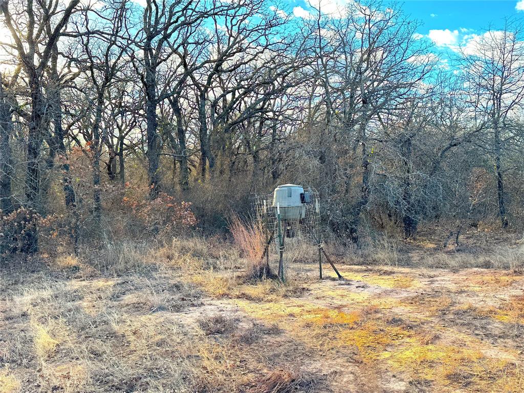 17101 Farm To Market 920 Poolville, TX 76487 - Photo 36 of 40 a view of a fire pit with large trees