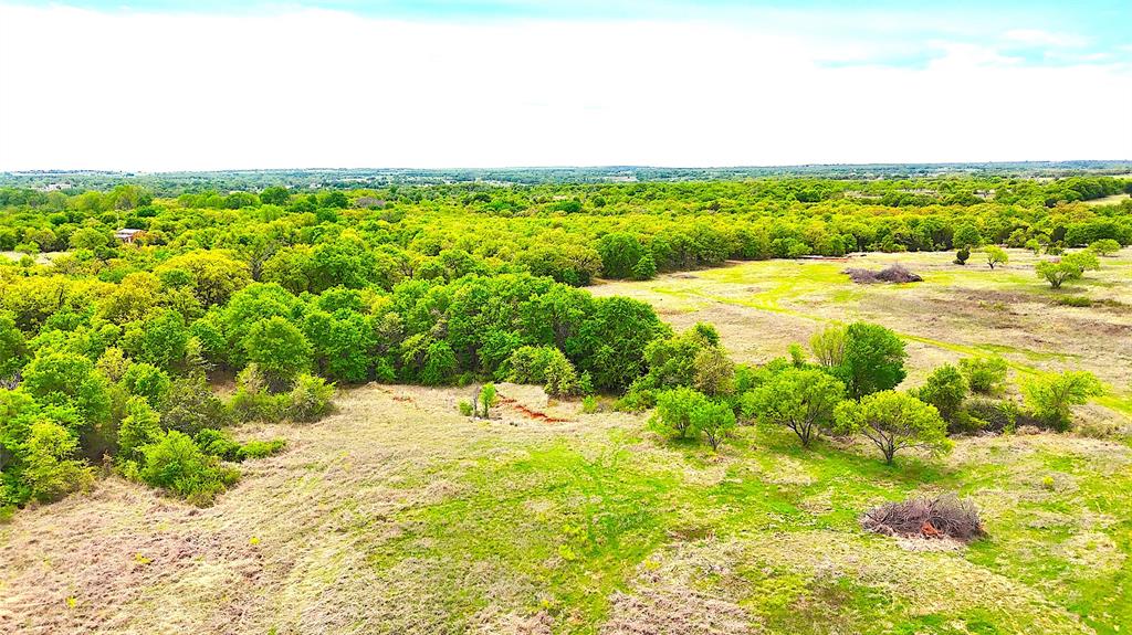 17101 Farm To Market 920 Poolville, TX 76487 - Photo 6 of 40 a view of a yard with an outdoor space