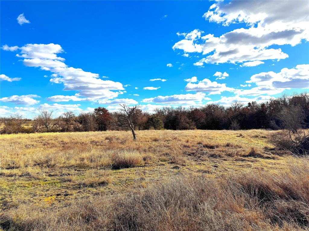 17101 Farm To Market 920 Poolville, TX 76487 - Photo 6 of 40 a view of a lake view
