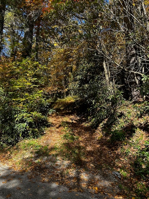 Tbd Foreman Road Highlands, NC 28741 - Photo 1 of 1 Gallery Image 1