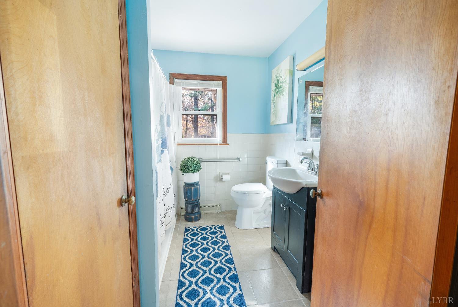 41 Piedmont Road Rustburg, VA 24588 - Photo 31 of 51 a bathroom with a sink and a toilet