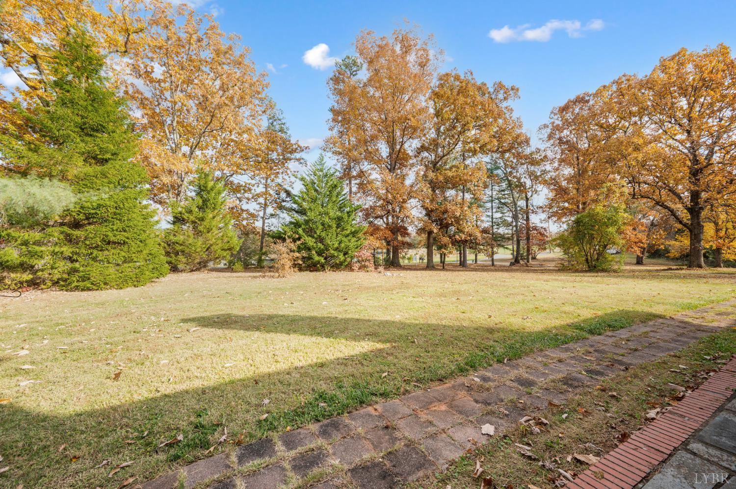 41 Piedmont Road Rustburg, VA 24588 - Photo 4 of 51 a view of yard with large trees