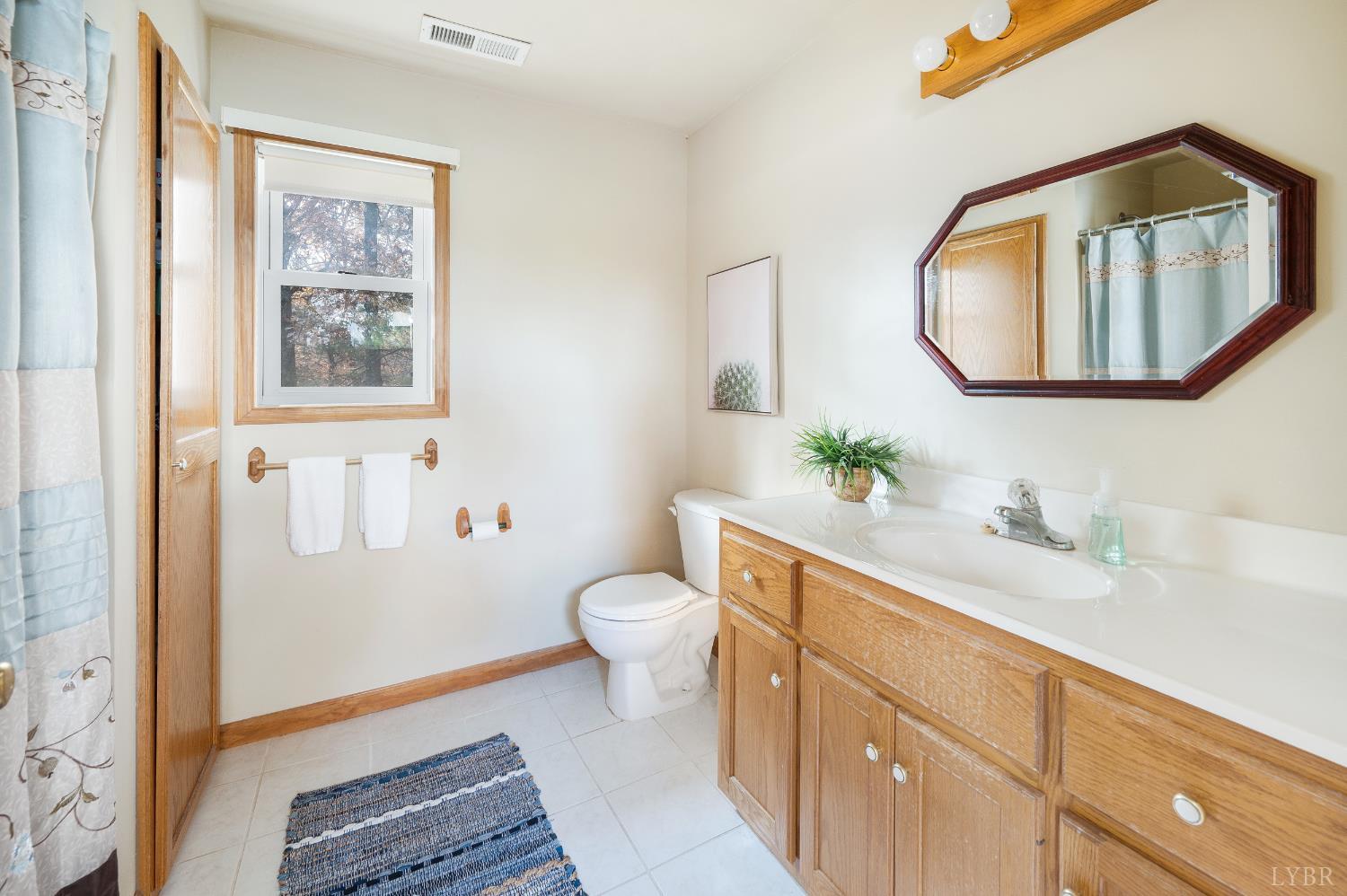 41 Piedmont Road Rustburg, VA 24588 - Photo 42 of 51 a bathroom with a toilet a sink a vanity and mirror