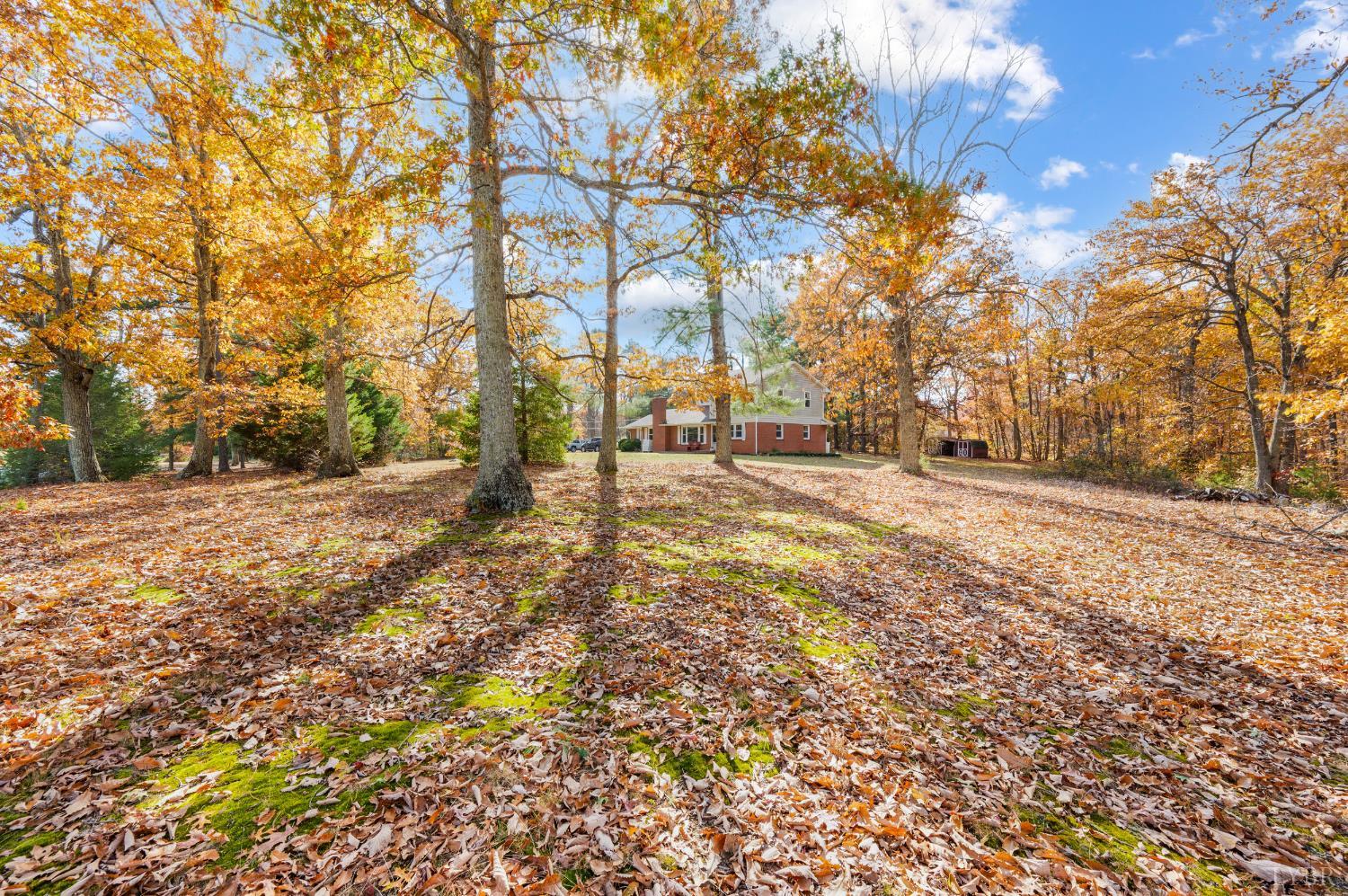 41 Piedmont Road Rustburg, VA 24588 - Photo 48 of 51 a view of open space with a trees