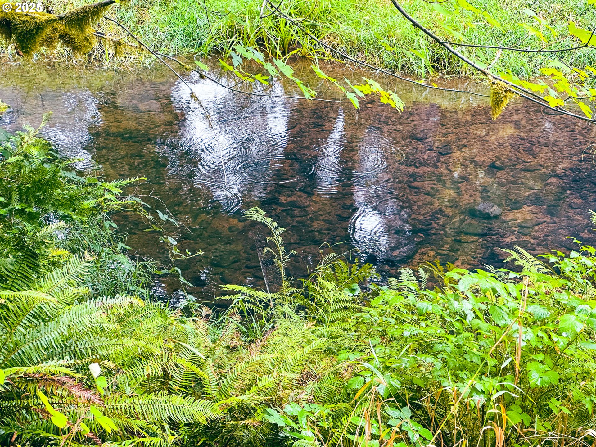 Vaughn Road, Unit TL2000 Veneta, OR 97487 - Photo 11 of 45 a backyard of a house