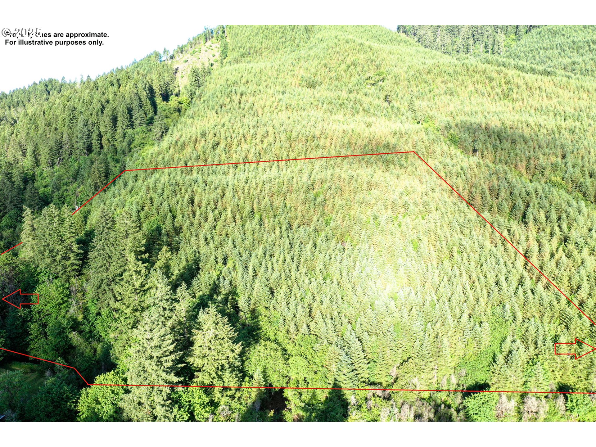 Vaughn Road, Unit TL2000 Veneta, OR 97487 - Photo 18 of 45 a view of a garden