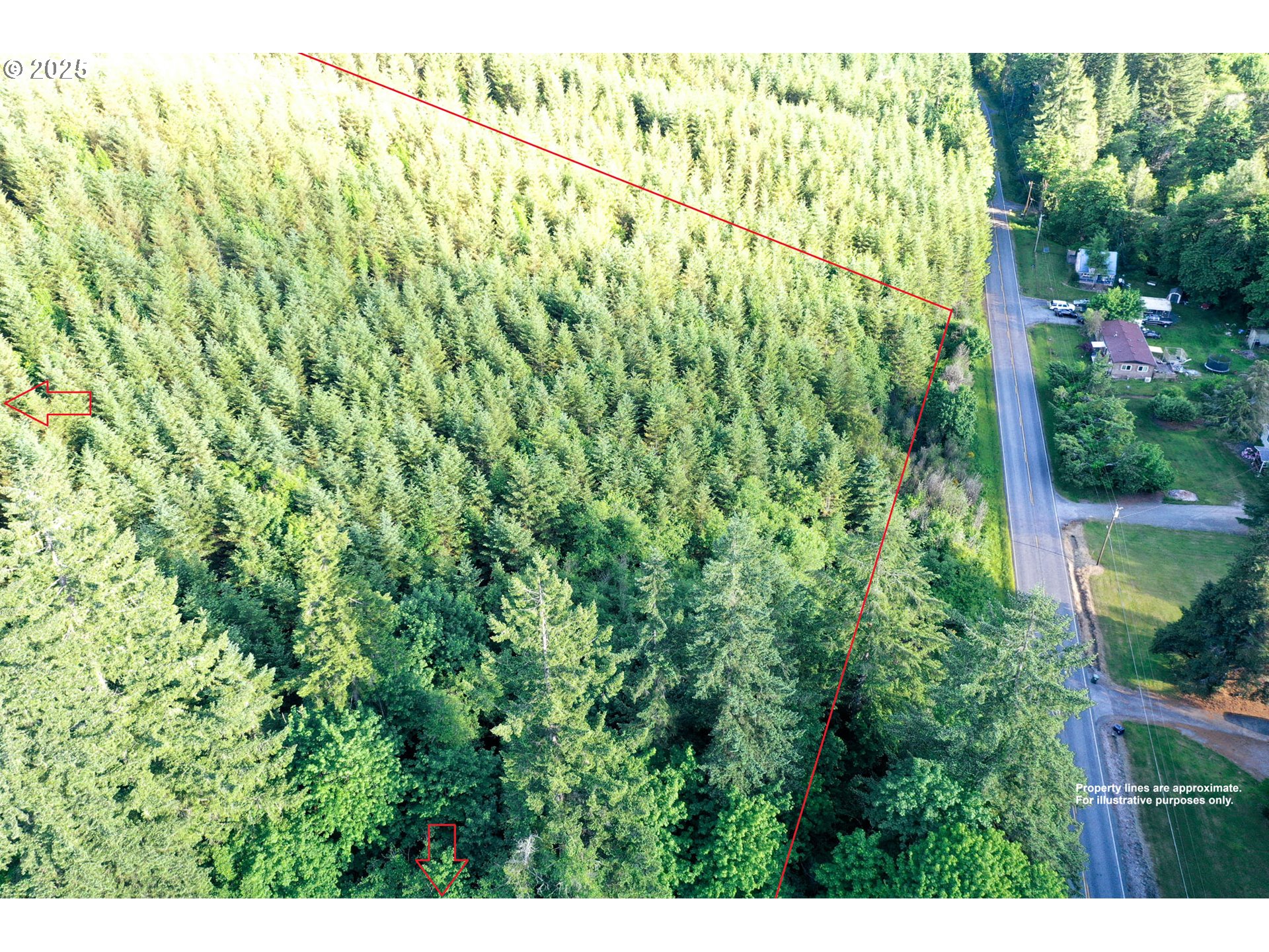Vaughn Road, Unit TL2000 Veneta, OR 97487 - Photo 19 of 45 a view of a garden with plants